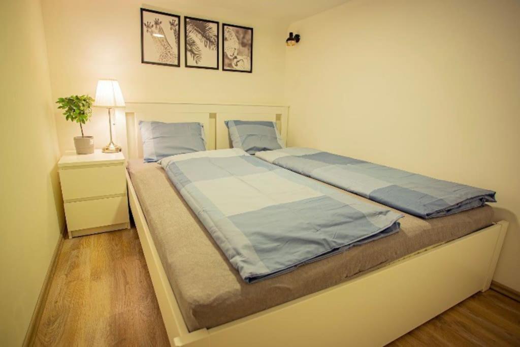 Cosy 2 Bedroom Flat In Akacfa St., Sol Budapest Ngoại thất bức ảnh