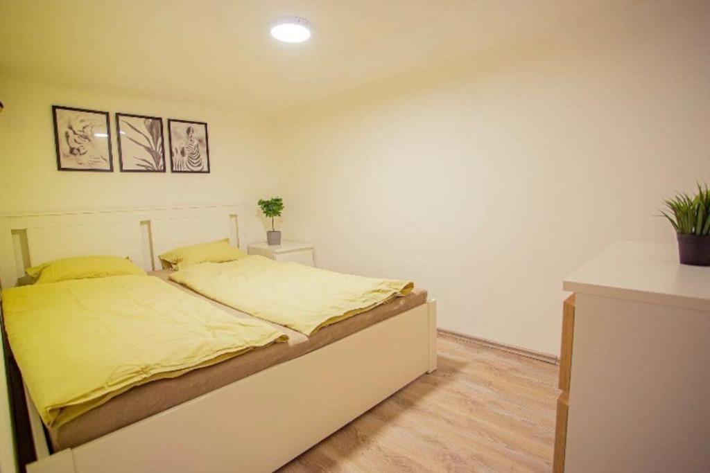Cosy 2 Bedroom Flat In Akacfa St., Sol Budapest Ngoại thất bức ảnh